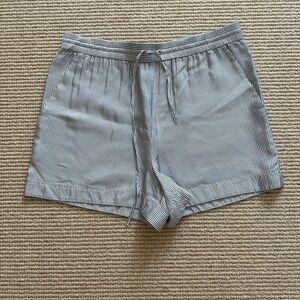 NWT T. Alexander Wang Blue and White striped silk shorts